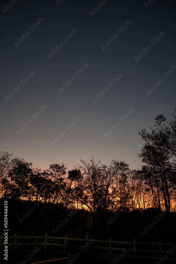 Pôr do sol com árvores ao fundo e tonalidades de laranja, roxo e azul. Pôr do sol com árvores ao fundo e tonalidades de laranja, roxo e azul.