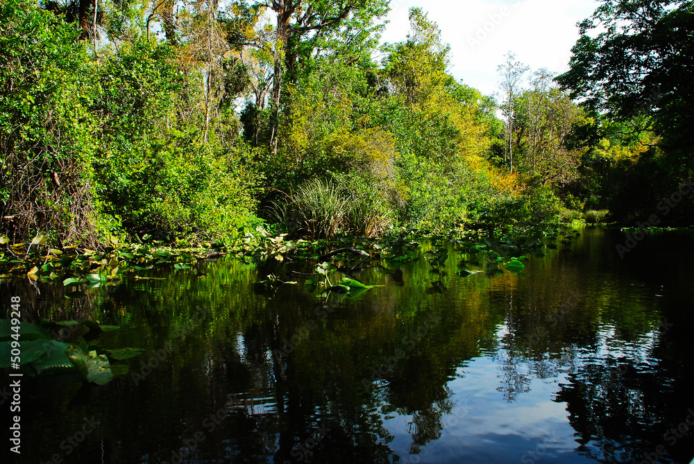 Rock springs run river in Central Florida at Kelly park Rock springs run river in Central Florida at Kelly park