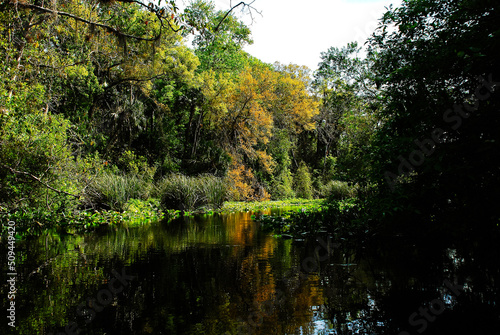 Nature of the Rock run river in Kelly park Apopka Central Florida