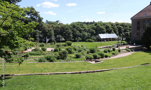 Wallpaper Mural Park Torontodigital.ca