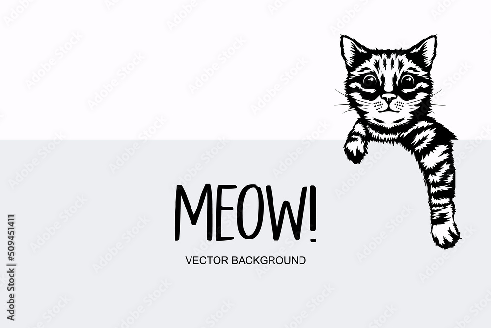 Vector Monochrome Hand Drawm Black, White Hiding Peeking Kitten. Kitten Head with Paws Up Peeking Over Blank White Placard, Poster, Card, Banner. Pet Kitten Curiously Peeking Behind White Background