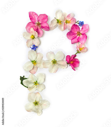 Letter P of flowers apple tree and blue wildflowers forget-me-nots on white background. Top view, flat lay