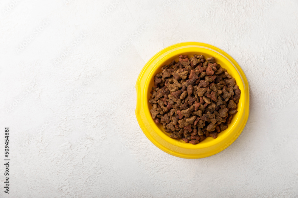Dry cat food in a yellow bowl on a cement background. Vitamins and nutrients for good health and energy of pets.Copy space. Dry cat food in a yellow bowl on a cement background. Vitamins and nutrients for good health and energy of pets.Copy space.