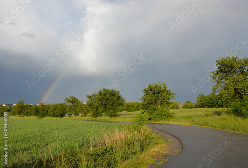 Regenbogen in Frühlingslandschaft mit Sonne und Regenwolken   © alisseja