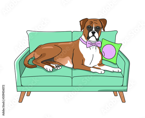 Illustration of boxer dog lying on green modern couch and wearing a purple bow tie. 