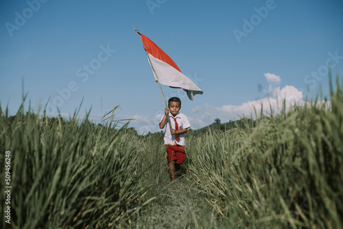 Wallpaper Mural child in the field Torontodigital.ca