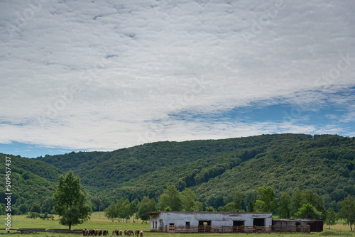 Wallpaper Mural railway in the mountains Torontodigital.ca