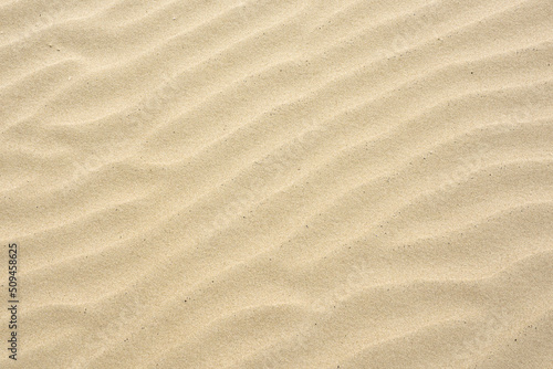 Sand ripples created by the wind in the fine beach sand by the sea © Zigmunds