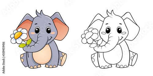 Cute cartoon elephant with flower. Color and black white vector illustration for coloring book © alka5051