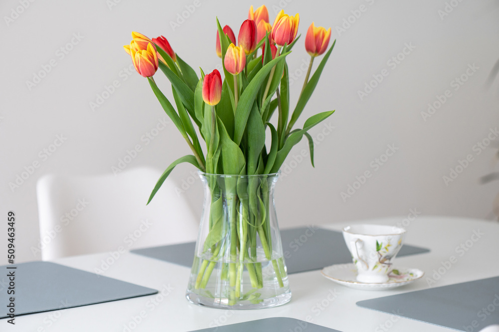 Fototapeta premium Colorful fresh tulips in glass vase on a table at home