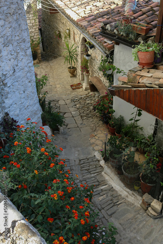 typical streets and traditional houses with nice doors and flowers in the city of Berat, Albania