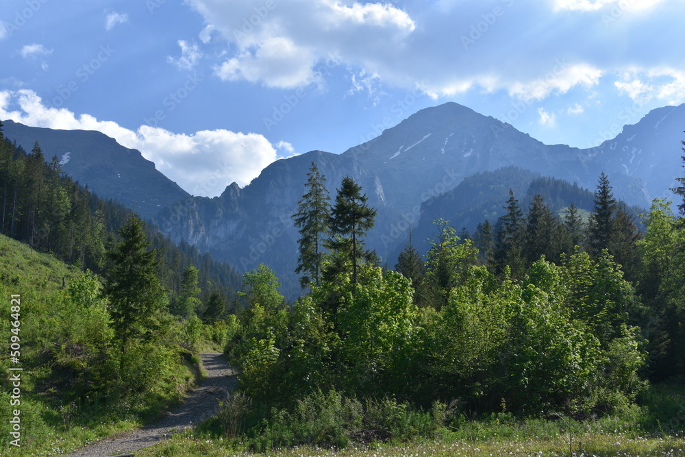 Słowacja, Tatry Bielskie, góry, Park Narodowy, TANAP, 