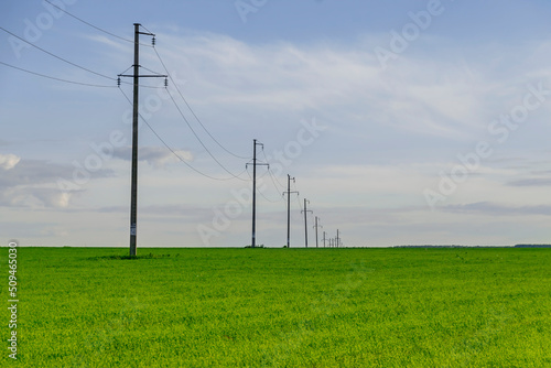 The power line goes over the horizon on a green field.