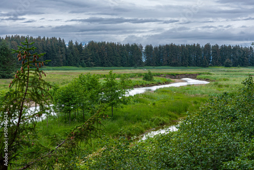 Hoonah, Alaska, USA - July 18, 2011: Wide green landscape in wilderness with silver creek cutting through under thick blueish cloudscape. Line of green pine trees on horizon.  photo