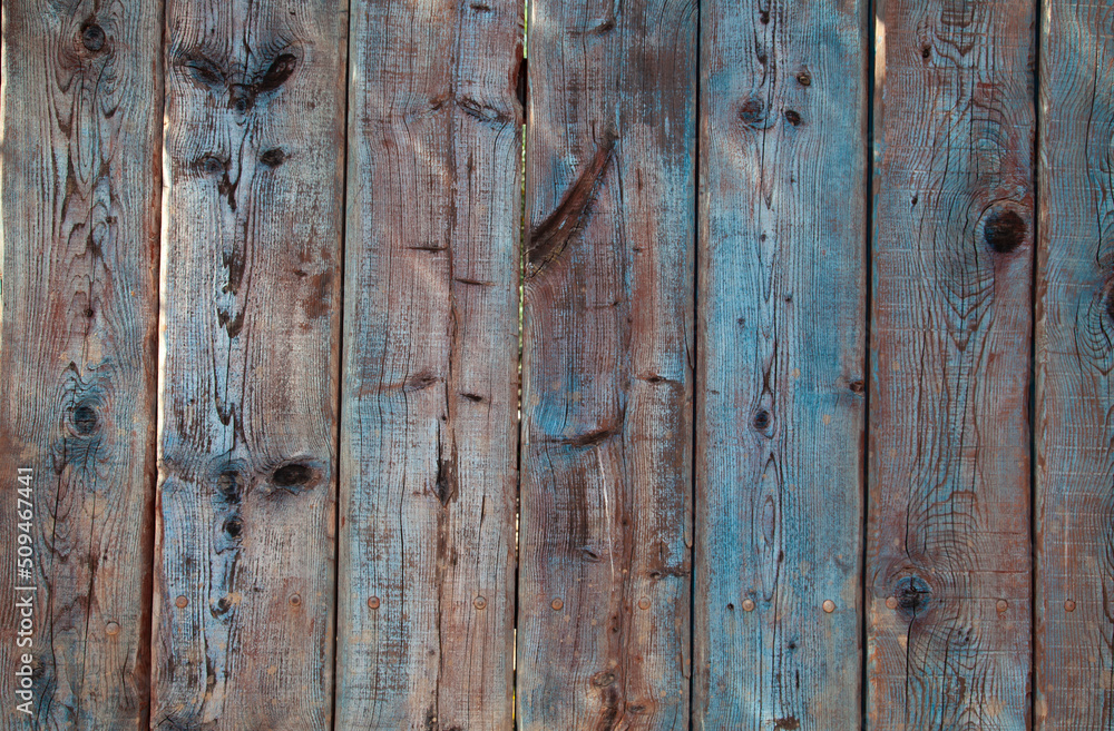 Naklejka premium Old blue wooden surface with peeling paint.