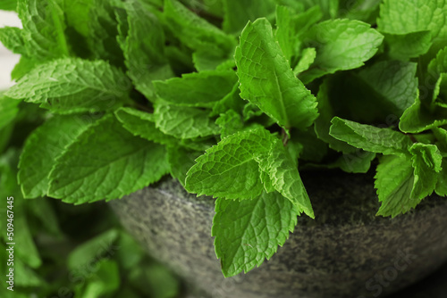 Mortar with mint leaves, closeup
