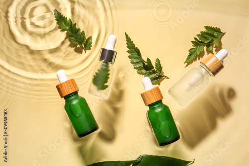 Many bottles of natural serum and fern leaves in water on color background