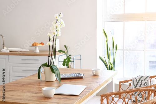 Beautiful orchid flower, cu...