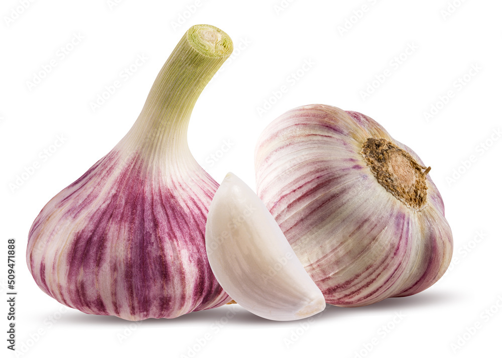 Fototapeta premium Garlics isolated on white background
