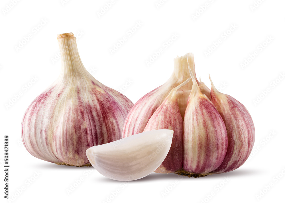 Obraz premium Garlics isolated on white background