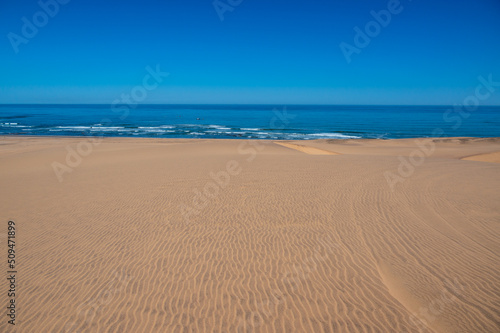 Skeleton Coast - Namib desert -Namibia