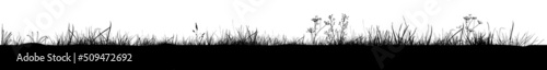 Grass black silhouettes. Vector illustration
