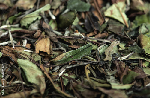 Chinese green leaf tea. Dried tea leaves background, top view