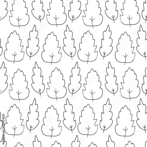 Floral endless pattern of hand-drawn leaves on a white background. Scribble.