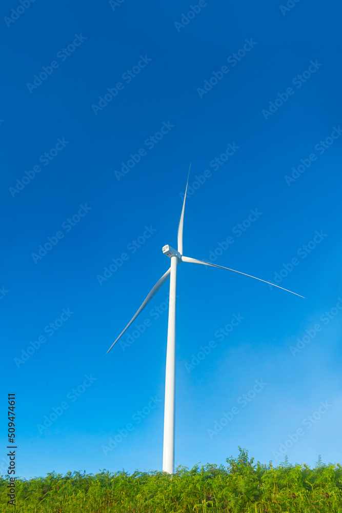 Renewable energy wind turbines windmill isolated on the beautiful blue sky, white clouds in Da Lat city, Lam Dong, Viet Nam Renewable energy wind turbines windmill isolated on the beautiful blue sky, white clouds in Da Lat city, Lam Dong, Viet Nam