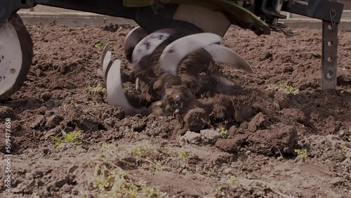 Wallpaper Mural motor cultivator or tiller tractor cultivates the ground soil in the garden close up. Modern plowing farming and technology agriculture. Torontodigital.ca