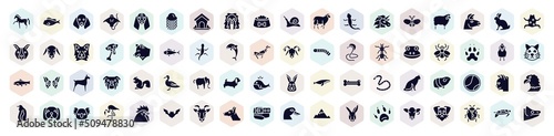 fauna filled icons set. glyph icons such as horse with leg up, dog with floppy ears, long haired dog head, unicorn, wolf head, big fly, elephant alone, cat head, belt and buckle icon.