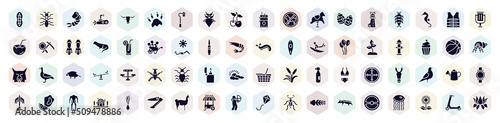 nature filled icons set. glyph icons such as plankton, shrimp, leaf insect, easter egg, lemonade, fire hydrant, antlion, watering can, hunter icon. photo
