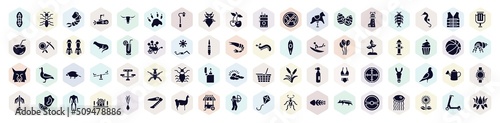 nature filled icons set. glyph icons such as plankton, shrimp, leaf insect, easter egg, lemonade, fire hydrant, antlion, watering can, hunter icon.