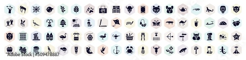 nature filled icons set. glyph icons such as baobab, cobweb, animal aid, hamster, spruce, acorn, beehive, sun, hookah icon.