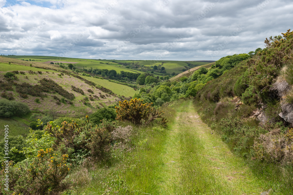 Landscape photo of the Doone valley at Robbers bridge in Somerset