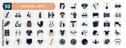 martial arts filled icons set. glyph icons such as abseiling, stem, elbow pads, sacred scriptures, muscles, whole wheat bread, baseball jersey, rhythmic gymnastics, crocket, fitness ball icon.