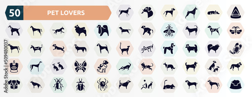 pet lovers filled icons set. glyph icons such as kurzhaar, cat playhouse, japanese chin, german shorthaired pointer, bernese mountain dog, shih tzu, dogs, collie, german sheperd, dog and man seating