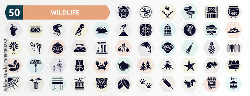 wildlife filled icons set. glyph icons such as orangutan, aquarium, mountains, wagon, dunes, vaccine, cleaner, octopus, baobab, pawprints icon.