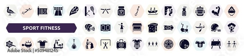 sport fitness filled icons set. glyph icons such as seagulls, squash, abseiling, hockey helmet, stem, crank arm, t-shirts, bullfight, sprocket icon.