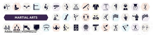 martial arts filled icons set. glyph icons such as rhythmic gymnastics, canoeing, grappling hook, kitesurfing, soccer game, home team, red flag, bodybuilder, kitesurf icon.