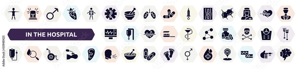 in the hospital filled icons set. glyph icons such as women, star of life, x ray of bones, electrocardiogram on screen, three hexagons cell, drip bag, wheelchair, unhealthy medical condition, drop in the hospital filled icons set. glyph icons such as women, star of life, x ray of bones, electrocardiogram on screen, three hexagons cell, drip bag, wheelchair, unhealthy medical condition, drop