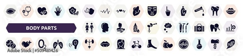 body parts filled icons set. glyph icons such as eye with lashes, 24 hours medical assistance, hand gesture raising the index finger, family of heterosexual couple, zzz sleep, medicines time,