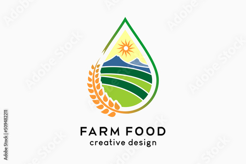 Farm food logo, organic food source illustration. Rice or wheat, paddy field, mountain and sun icon in drops
