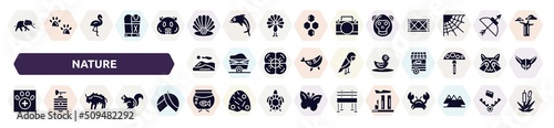 nature filled icons set. glyph icons such as elephants, pearl, orangutan, dunes, duck, veterinarian, bison, aquarium, relics icon.