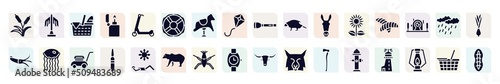 nature filled icons set. glyph icons such as reeds, picnic, lifebuoy, porcupine, chrysalid, medusa, bullets, pond skater, fire hydrant icon.