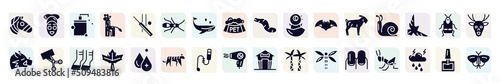 insects filled icons set. glyph icons such as zebra, pet shampoo, earwig, chick, snail, trimming, maple leaf, teasing stick, nails icon.