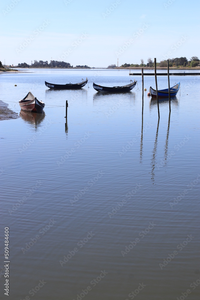 Barcos da ria de Aveiro