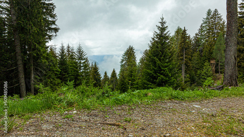 4k Waldfotografie - Waldfotos DJI Mavic 3 