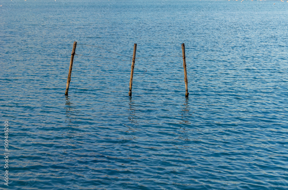 Lagoon detail, nature background