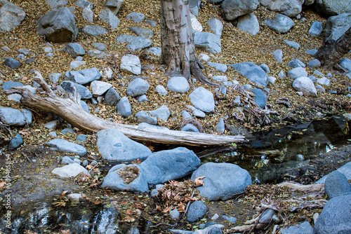 Log Submerged in a Creek Surrounded by Boulders in the Angeles National Forest behind Los Angeles, California, USA